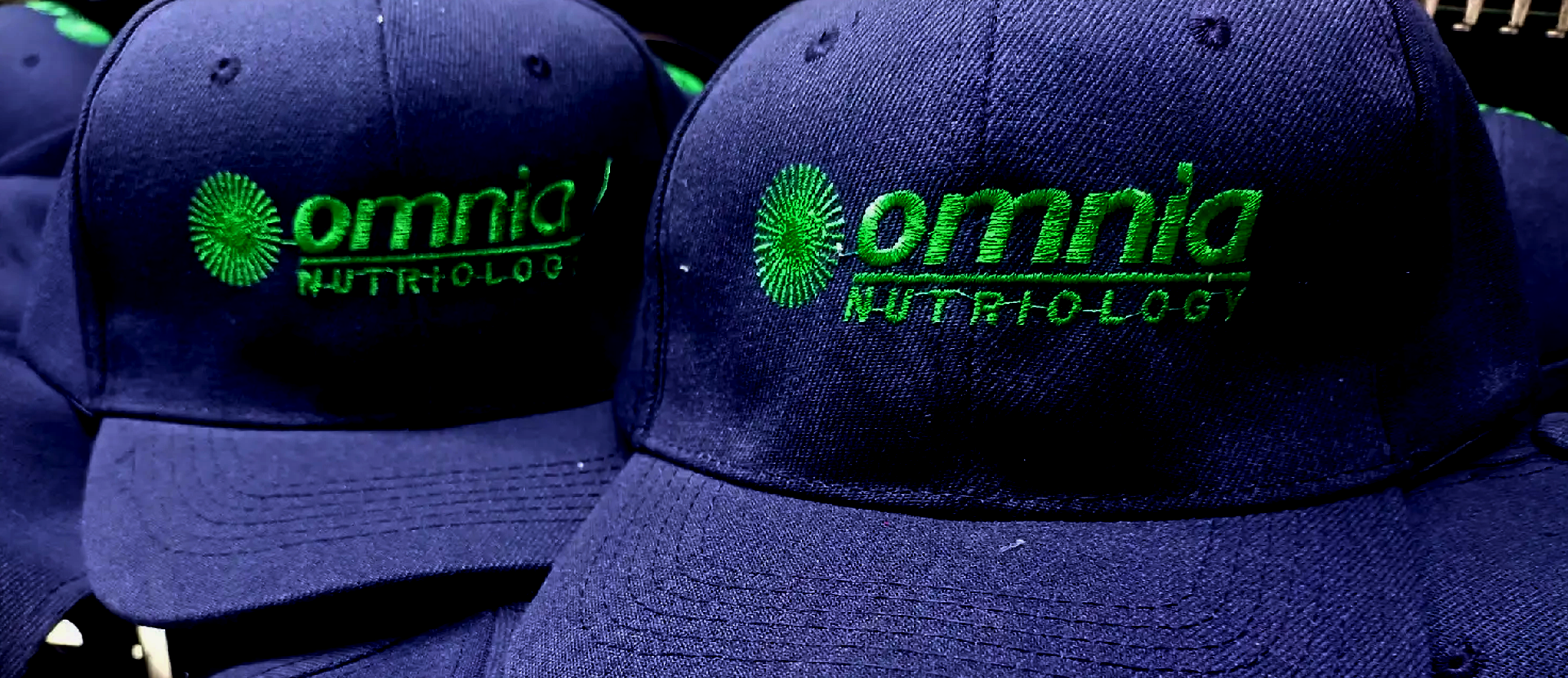 Corporate polo embroidery